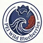 Wild Blues News's avatar