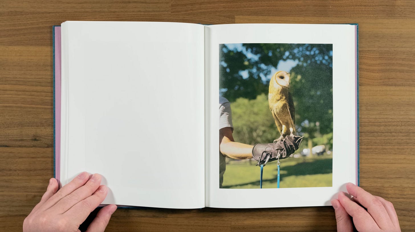 PHOTOBOOK REVIEW: Gregory Halpern - King, Queen, Knave