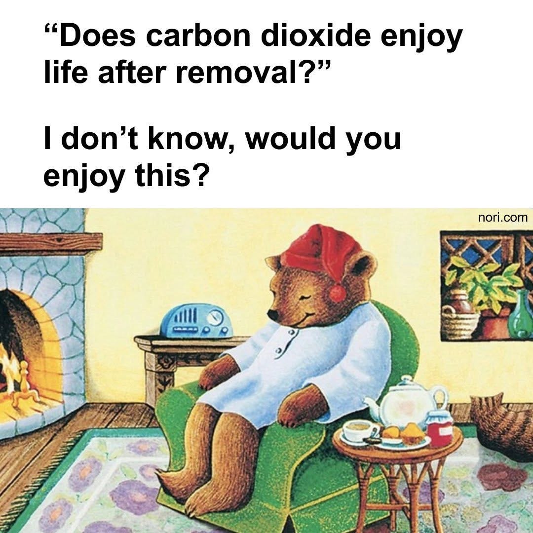Text: "'Does carbon dioxide enjoy life after removal?' I don't know, would you enjoy this?" Below, an illustration of a bear in a nightcap and robe relaxing by a fireplace with tea.