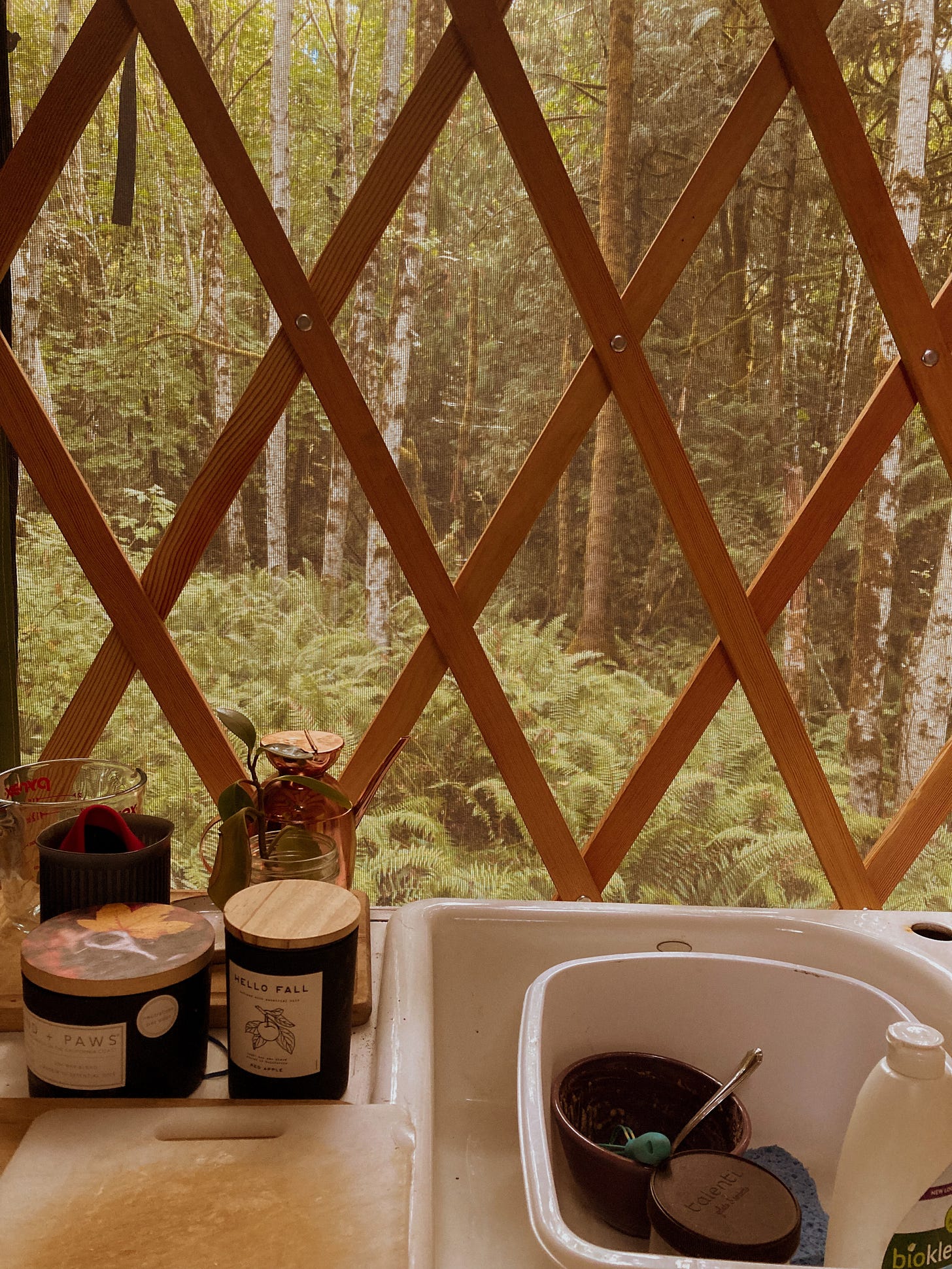 A kitchen sink inside a yurt with a view of a forest through the window.