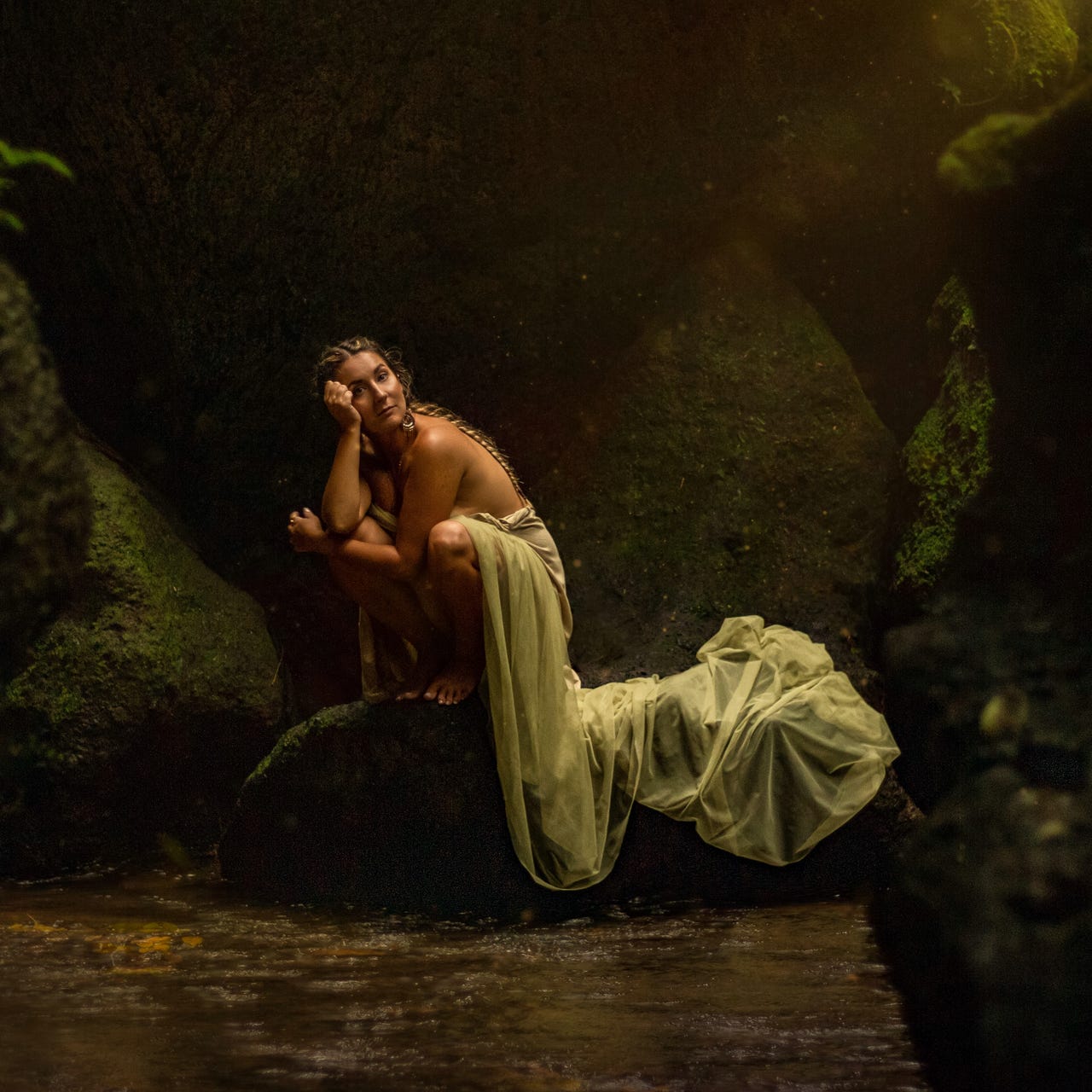 Lucy Warr's Words of the Wild \ud83d\udc3a