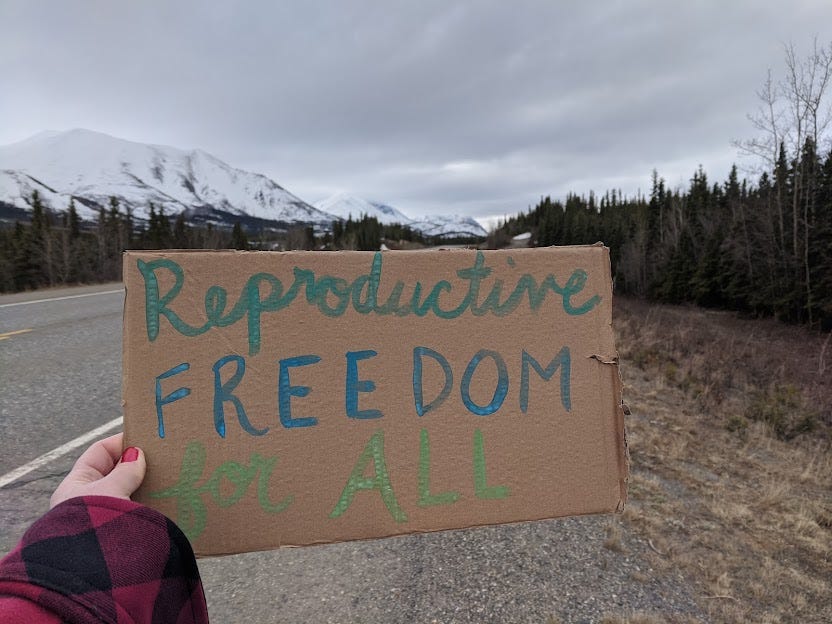a sign painted with "reproductive freedom for all" with mountains behind it