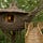 Bamboo Treehouse Dream