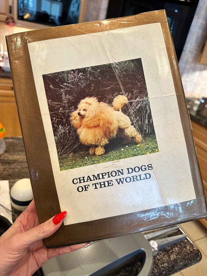 A random assortment of estate sale finds