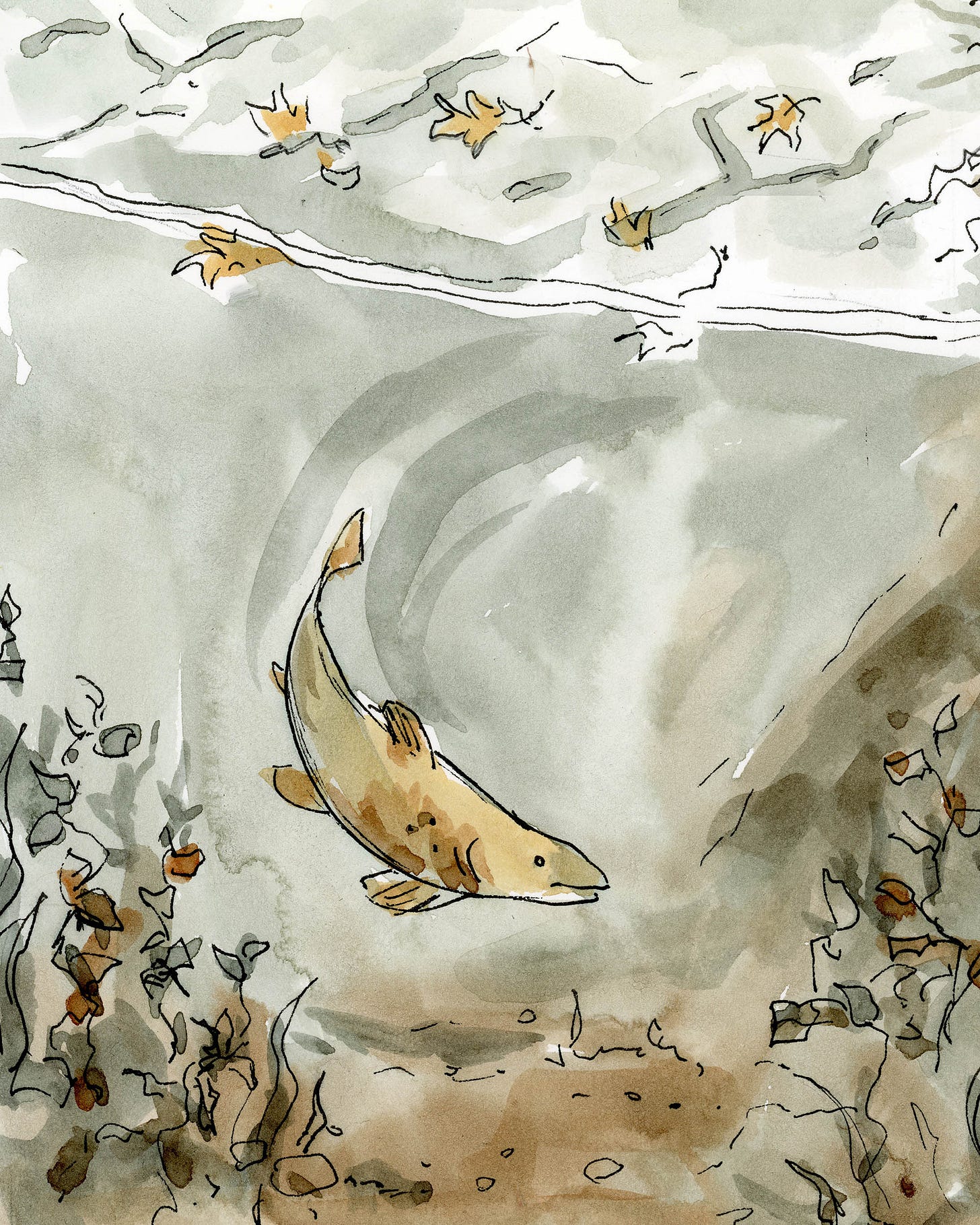 Watercolor comic page by graphic novelist K. Woodman-Maynard of a fish swimming in a pond. Watercolor comic page by graphic novelist K. Woodman-Maynard of a fish swimming in a pond.