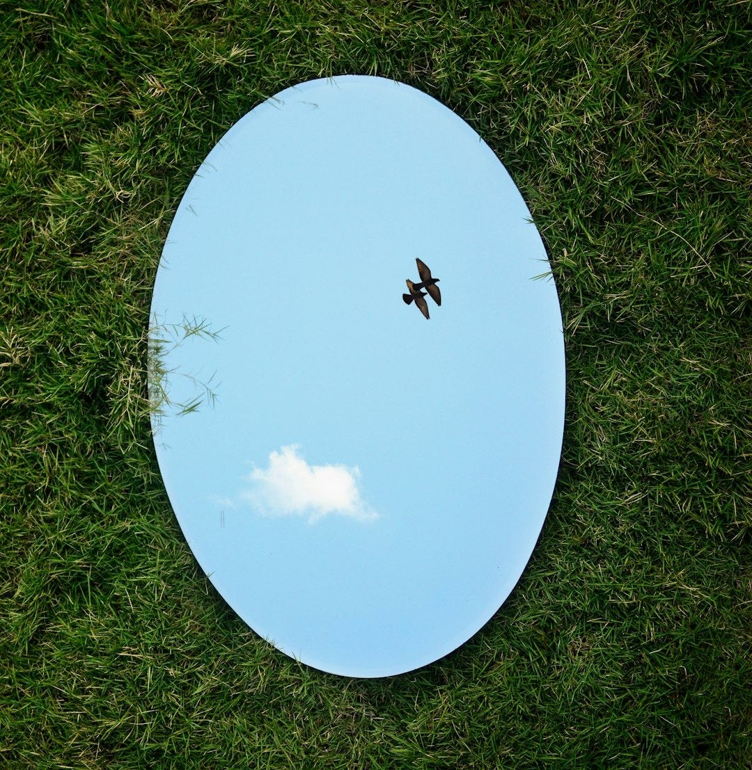 a bird flying in the sky through a circular mirror a bird flying in the sky through a circular mirror