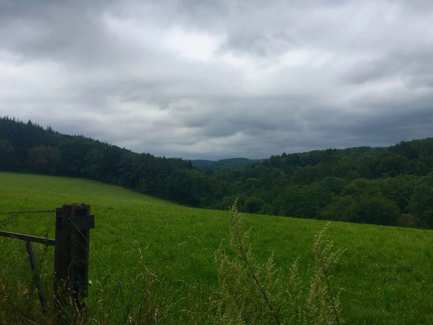 Seuls au monde Seuls au monde