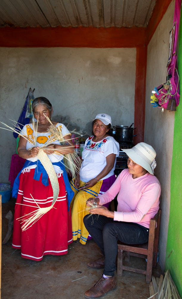 A collective of female pulque makers in Oaxaca