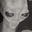 lex's avatar