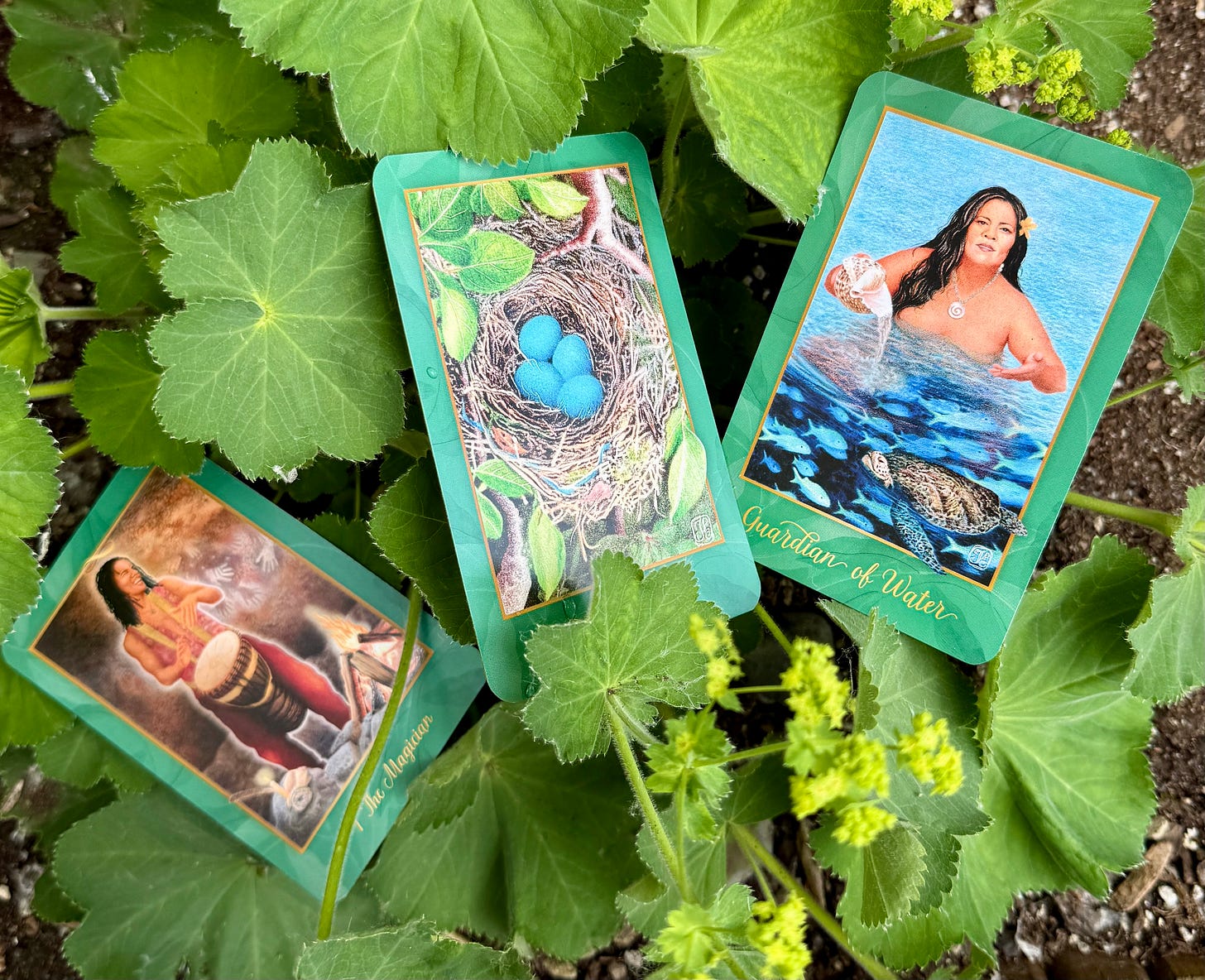 Three Gaian Tarot cards in the garden Three Gaian Tarot cards in the garden