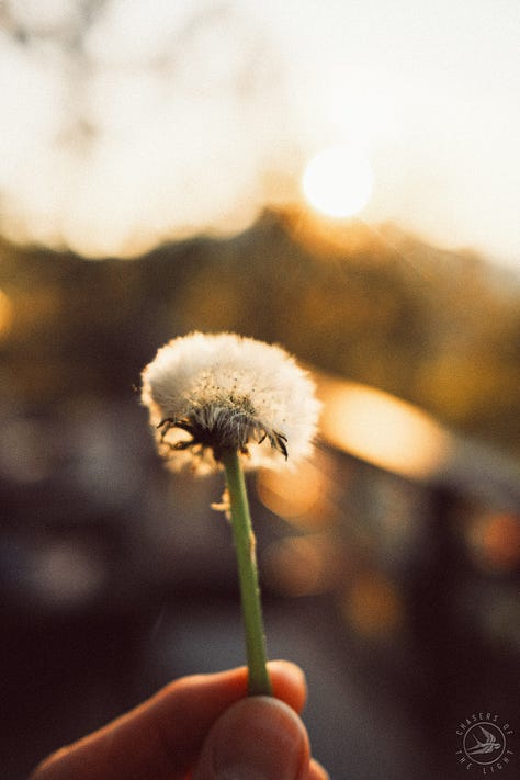 Fuji photographs of life in Montana by Tyler Knott Gregson