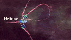 Best Molecular Machines GIFs | Gfycat