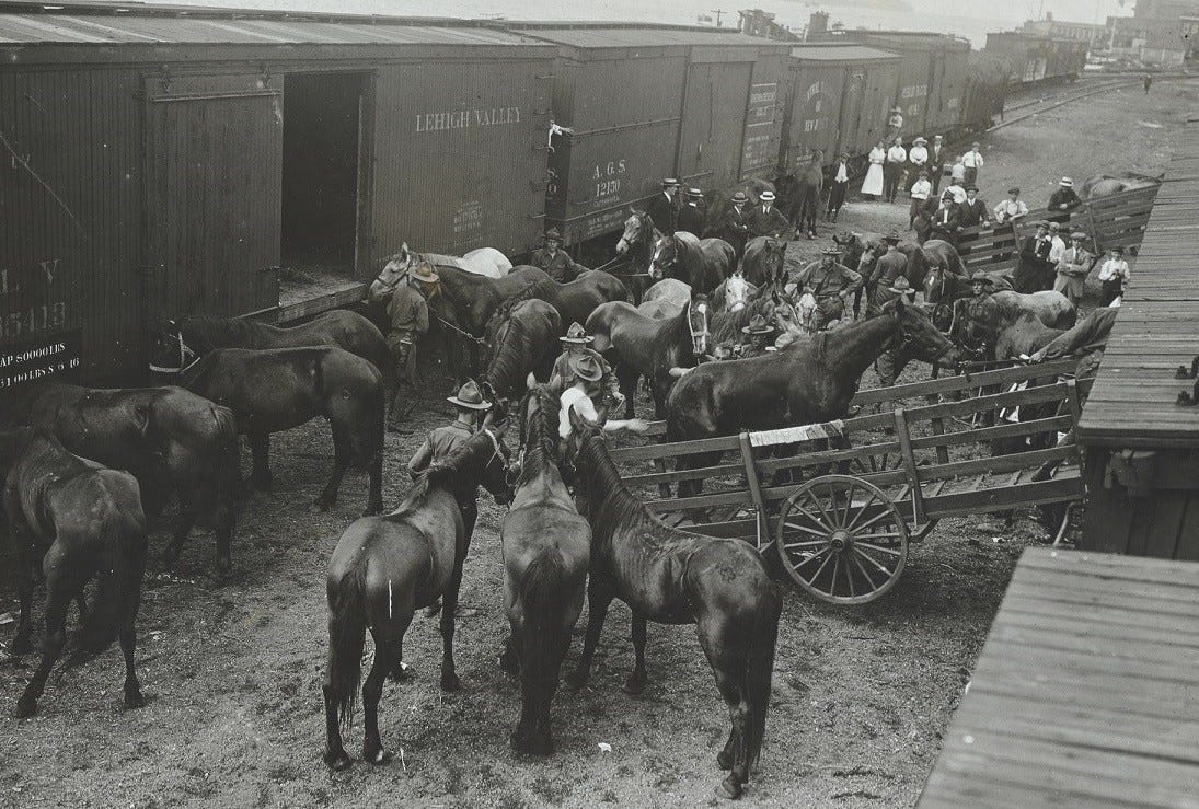 A shipment of horses at a New York City rail yard, 1918. A shipment of horses at a New York City rail yard, 1918.
