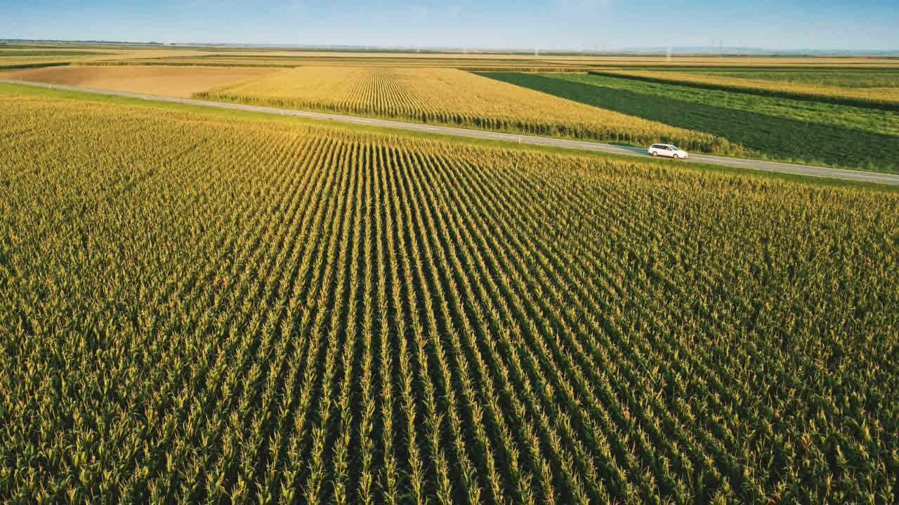 Bonus Episode #1 : Farmland Investing, With Carter Malloy | Millionacres