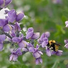 How to Stay Sane Working in Data Product