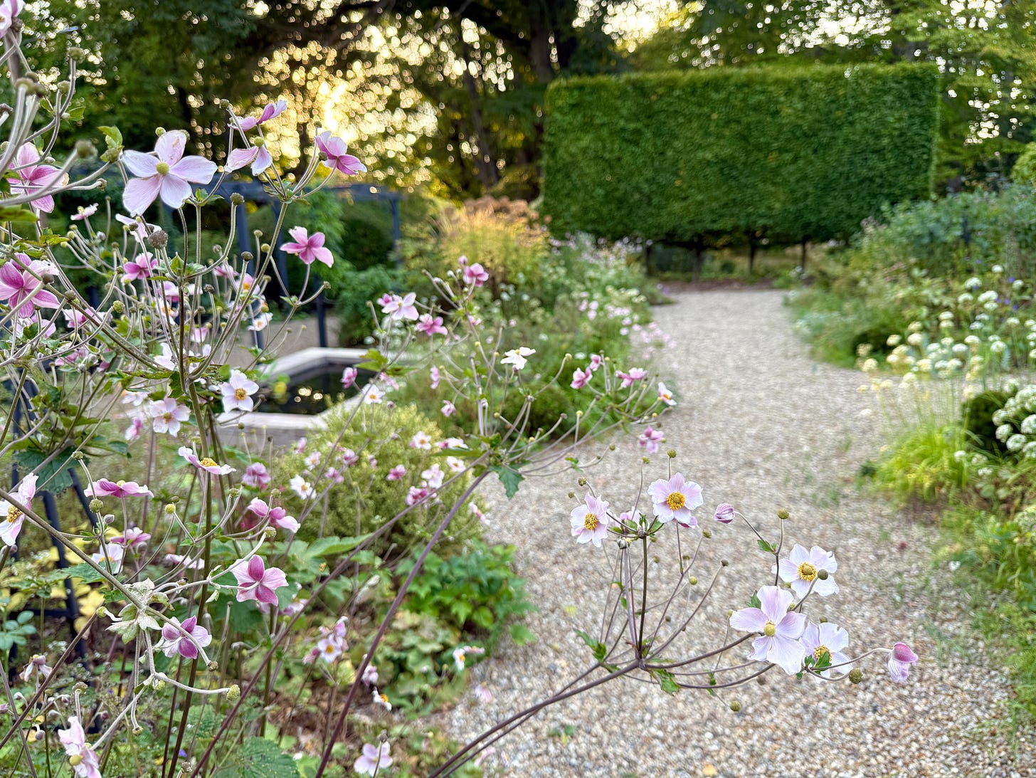 Havenwood’s Cottage Garden in September