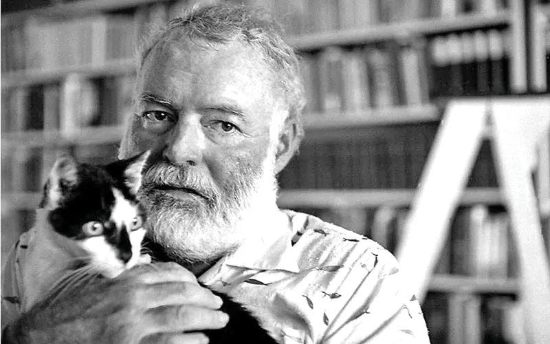ERNEST HEMINGWAY & HIS LOVE OF CATS– Moshiqa Store