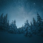 Mend with Christine Willard