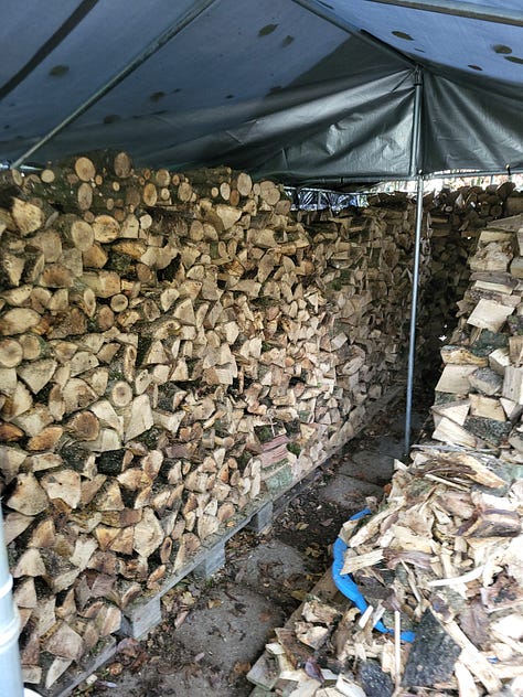 Former dog run ('Guantanamo') converted for log storage, with extended canvas roof protecting wood from rain. First picture shows Guantanamo from outside, with much reduced woodpile of split wood awaiting storage. Also, some remaining ash tree rings yet to be split. Big, beautiful, blue November sky, with morning frost on the grass, with trees and bushes mid-picture. Second photo shows 'Guantanamo' half filled with logs, the extension to the roof yet to be fitted. Third picture shows completed 'Guantanamo' filled with split logs and the extension of the canvas roof in place.