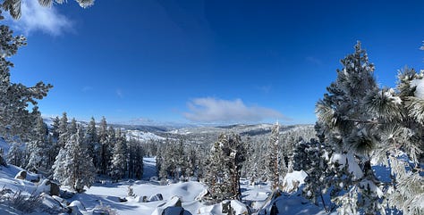 various images of snowy mountains and snow-blasted western junipers