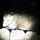 The Humble Possum's Rambling Newsletter