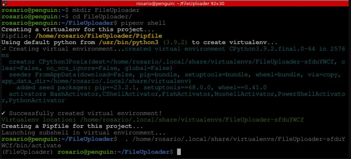 Figure 13.1: Virtual environment and app.py file preparation