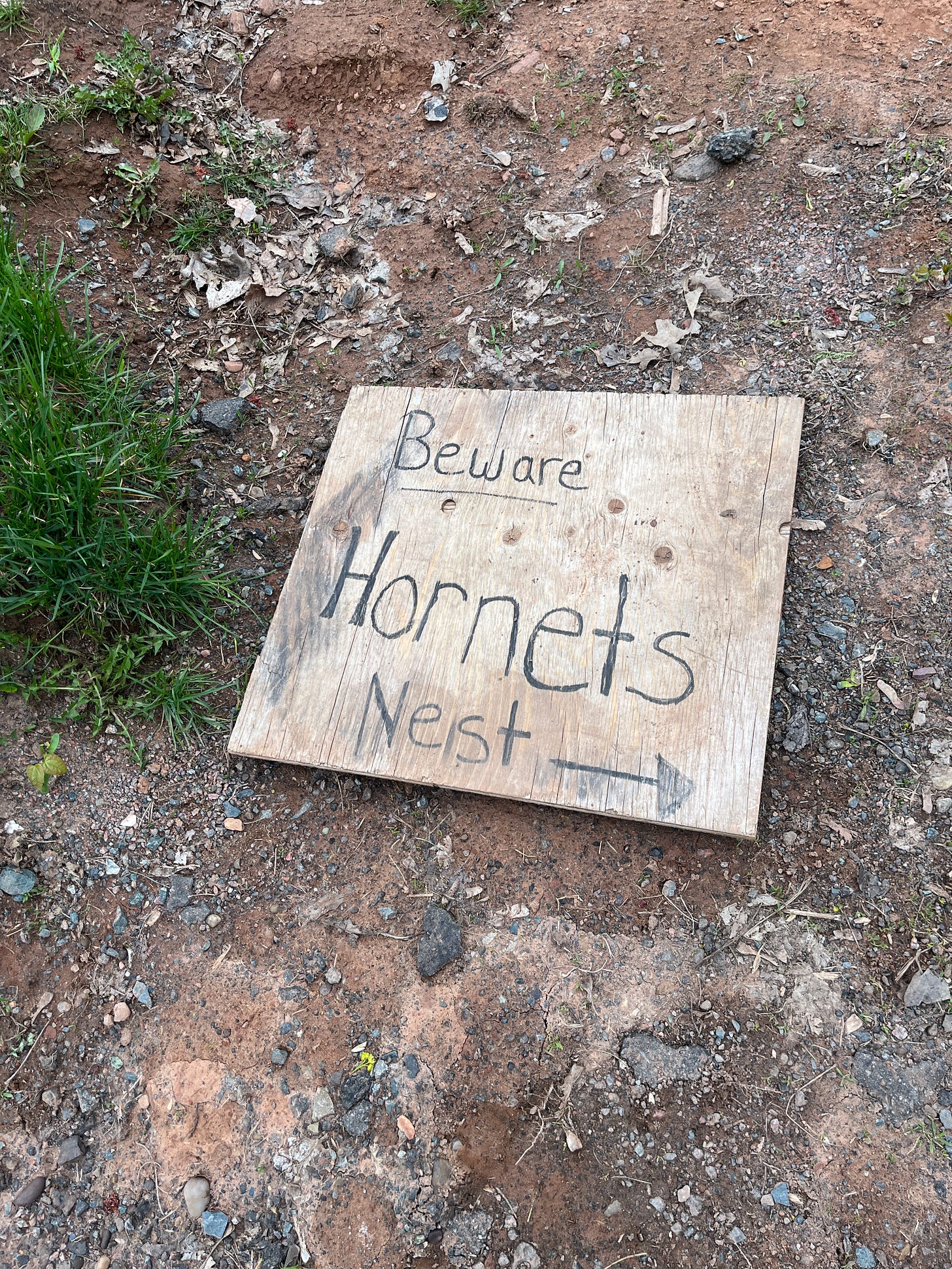 a discared hand made sign which reads "beware hornets nest" with an arrow pointing to the right