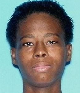 Susan Richardson Baby Willow 2 Susan Richardson Baby Willow 2