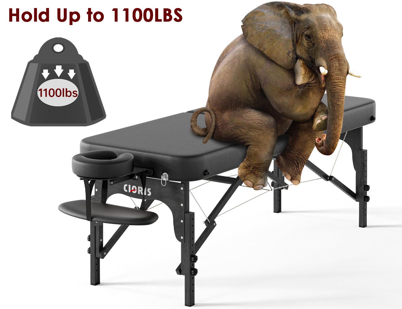 CLORIS 84" Professional Massage Table Portable Reinforced Wooden Leg 2 – CLORIS-DIRECT CLORIS 84" Professional Massage Table Portable Reinforced Wooden Leg 2 – CLORIS-DIRECT