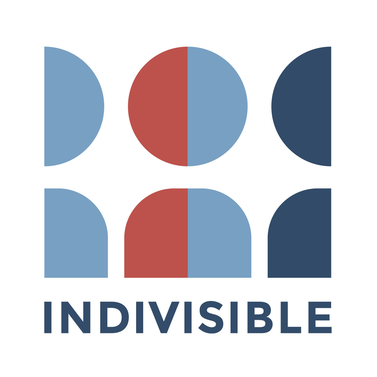 Indivisible Project