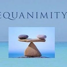 The Equanimity Project