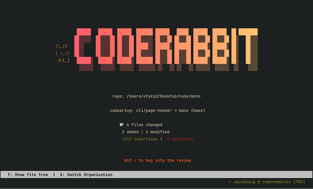 CodeRabbit CLI CodeRabbit CLI