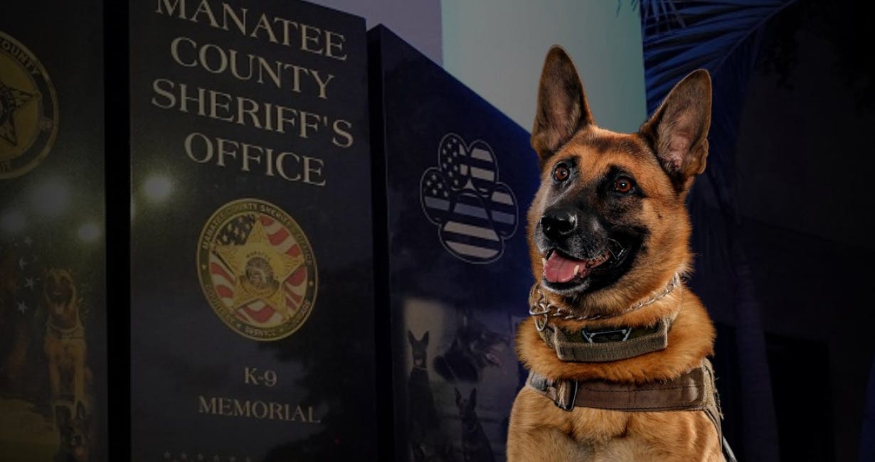 Beloved K9 Diesel Passes Away After Seven Years of Service with Manatee County Sheriff's Office
