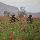 Escenas rurales: del crimen organizado al porno del desastre.