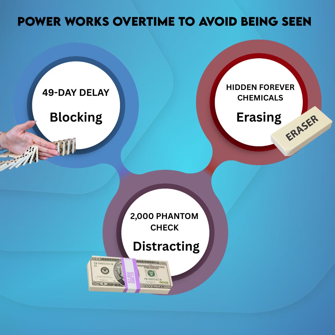 Three-circle diagram connecting delayed representation, deceptive economics, and hidden toxins under pattern of power avoiding accountability