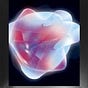 Manifold Loop's avatar