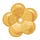 Celine's Daisies