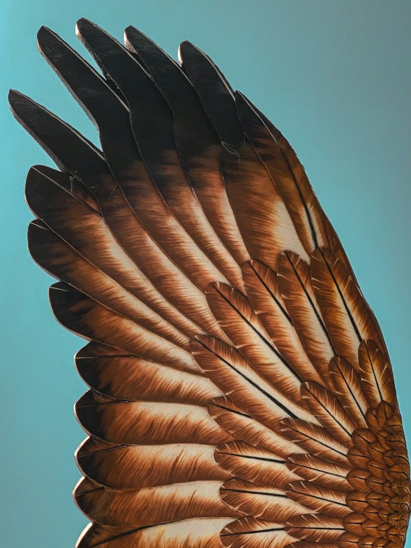 brown bird flying during daytime