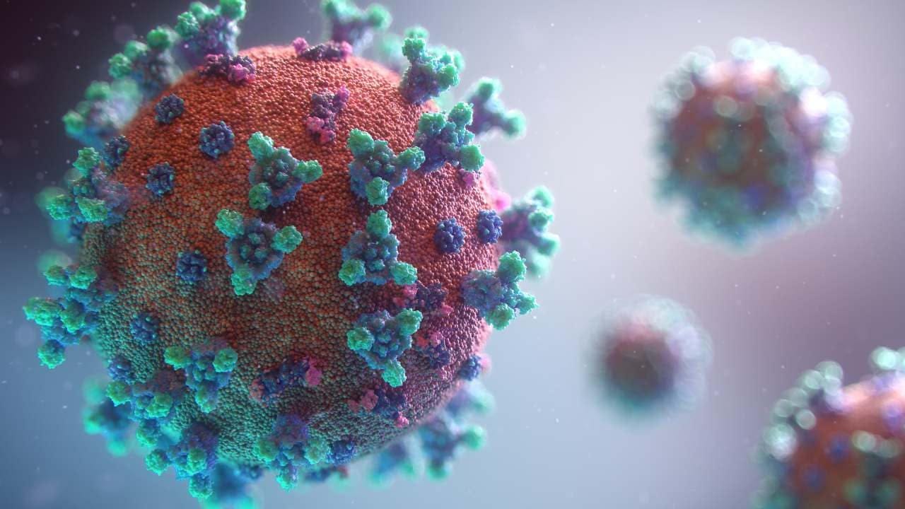 Co-infection: What happens when two different respiratory viruses infect  the same cell, at the same time- Technology News, Firstpost