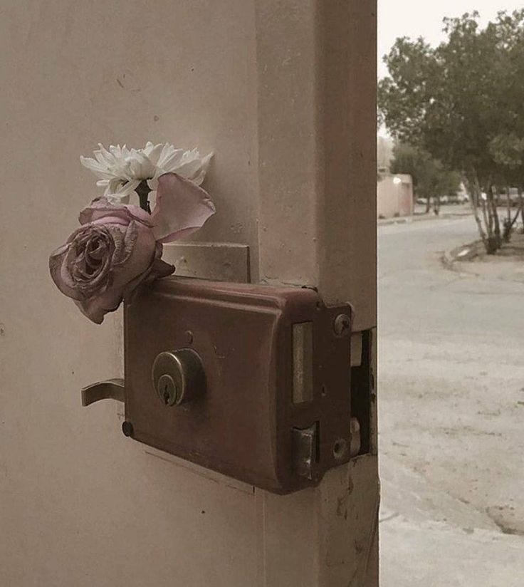 May be an image of light switch and flower May be an image of light switch and flower