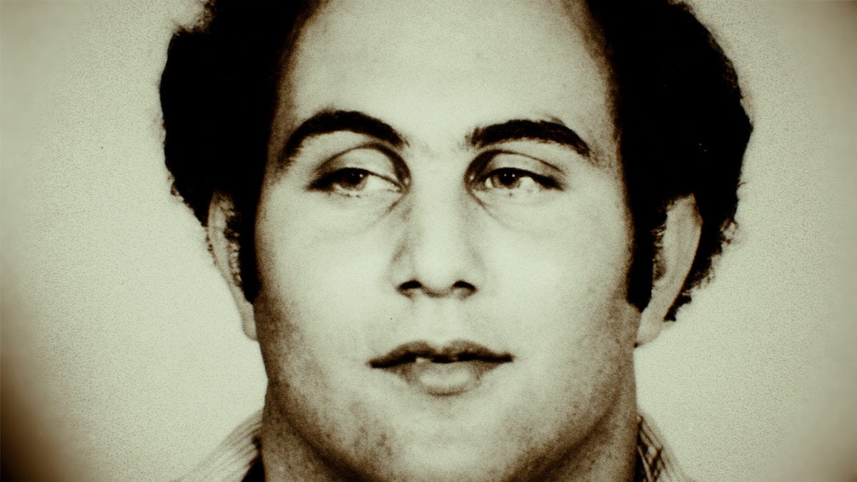 Was Son of Sam Caught? New Documentary Reveals Interview Tapes of Serial  Killer - Netflix Tudum