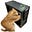 Avatar de ucorvoulobo