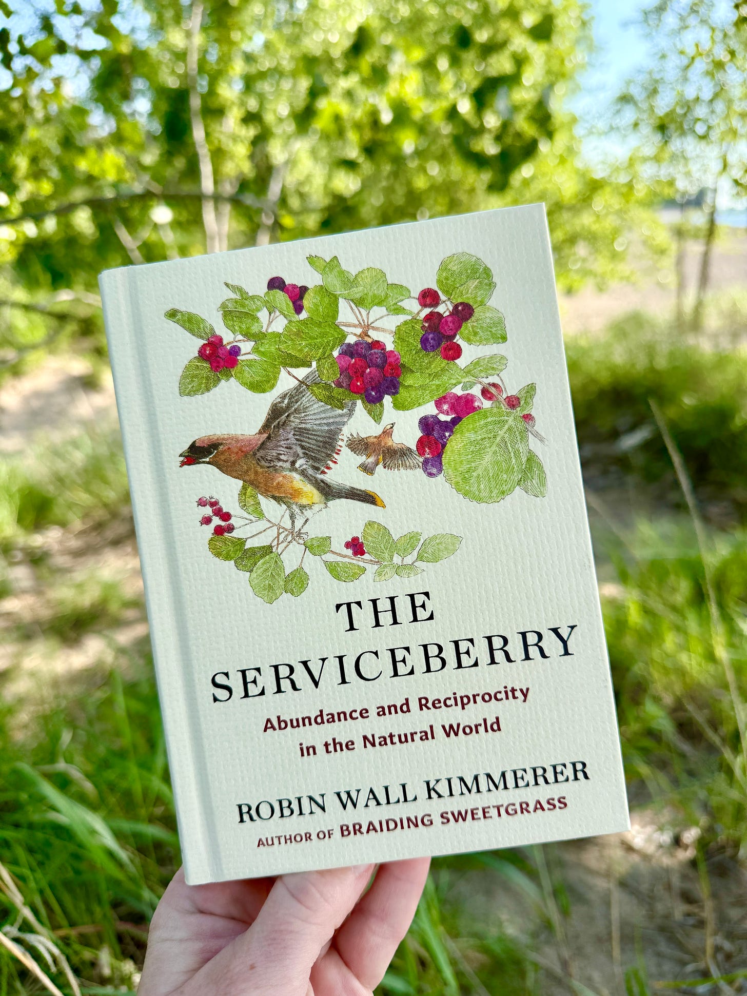 The Serviceberry by Robin Wall Kimmerer on our favorite Lake Erie beach.