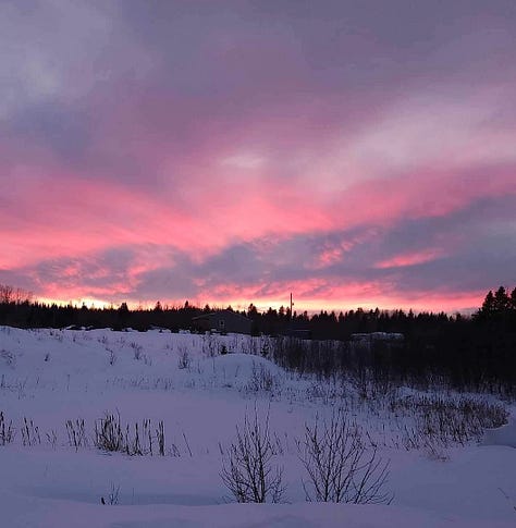 All of these photos I took from around my home (except for the second) Thank you to RT.