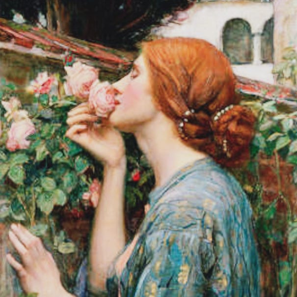 The Soul of the Rose