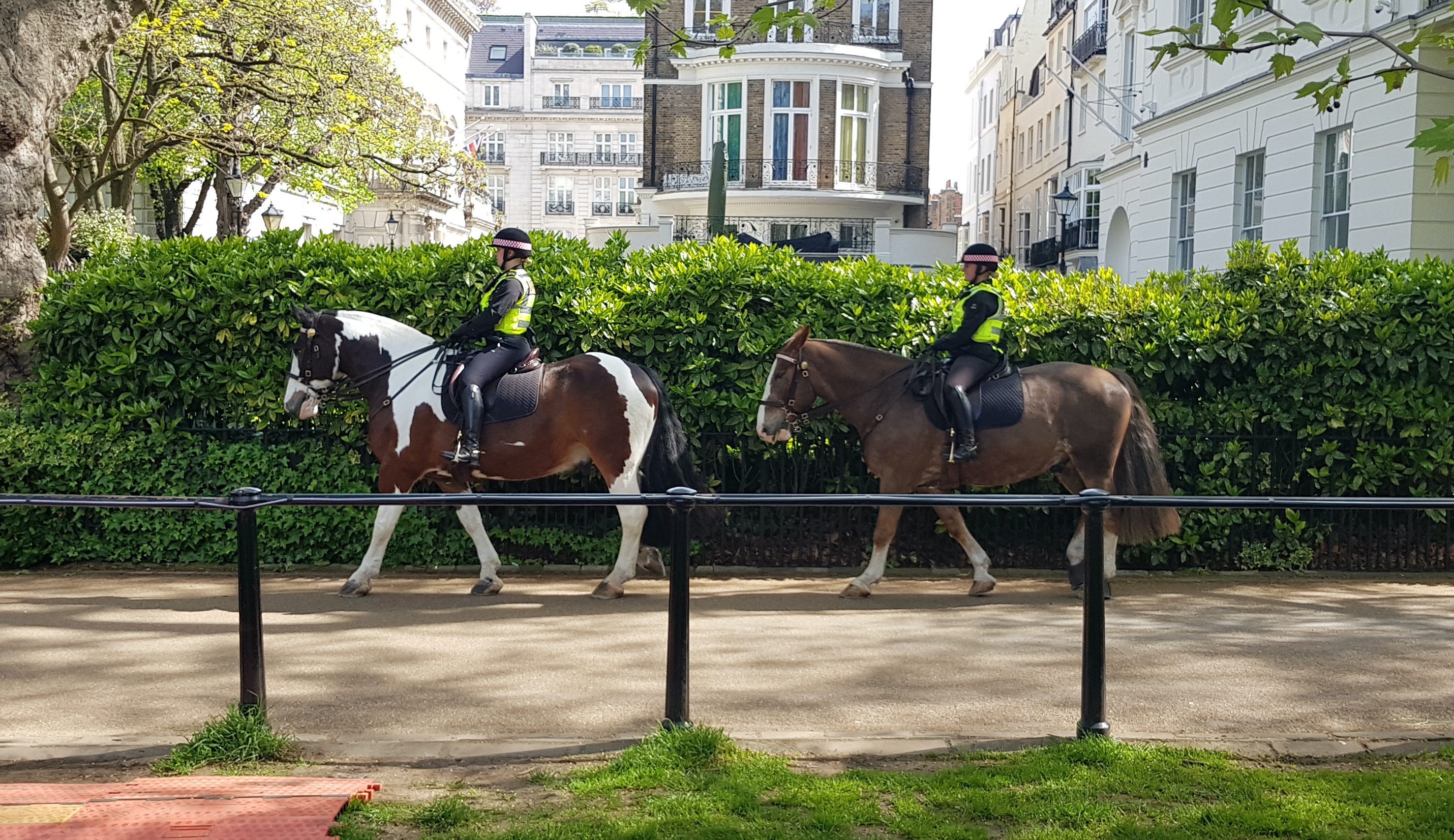 Two police offers on horseback patrolling