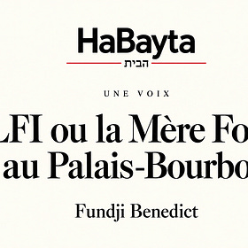 LFI ou la Mère Folle au Palais-Bourbon. Par Fundji Benedict