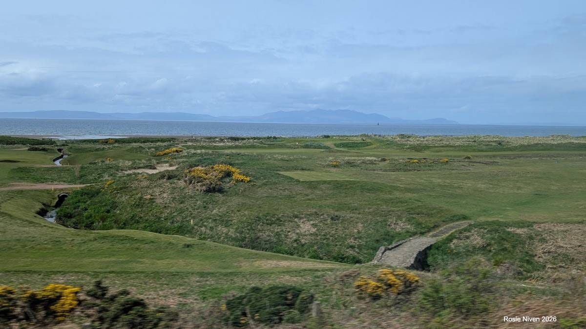 A golf course with gorse bushes and the sea with an island in the background A golf course with gorse bushes and the sea with an island in the background