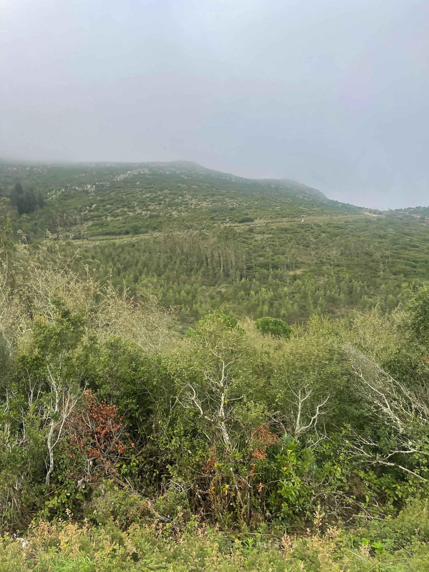 IMG_5679.jpeg