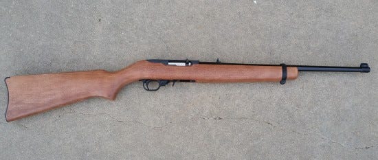 Ruger, 22LR, 10/22, survival rifle, project, build,